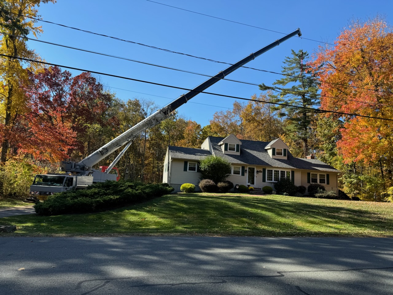 Mastering Tree Cutting with Cranes: A Step-by-Step Guide Mastering Tree Cutting with Cranes: A Step-by-Step Guide