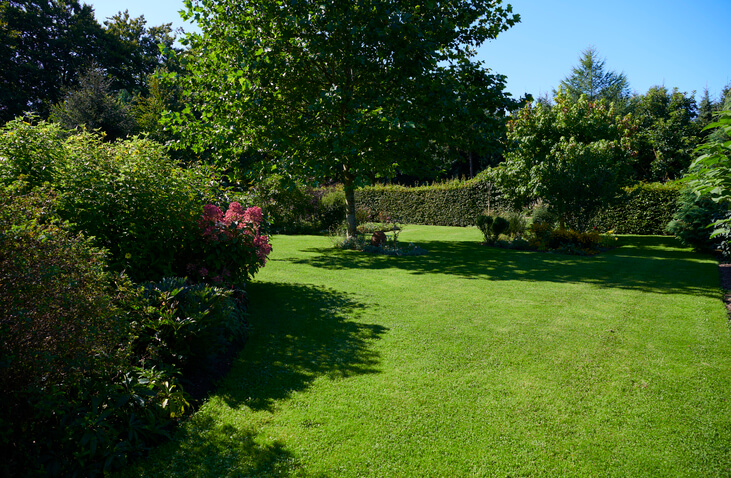 nicely landscaped lawn - tree removal services in brentwood nh