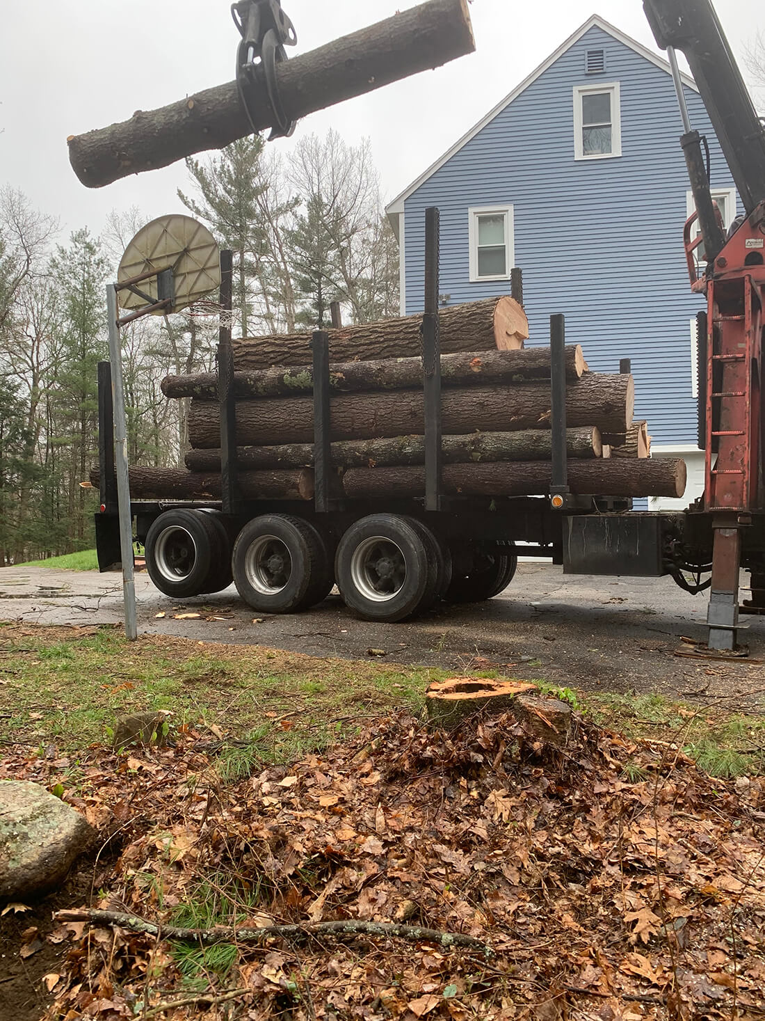 Knuckle Boom Crane at work - crane tree removal service