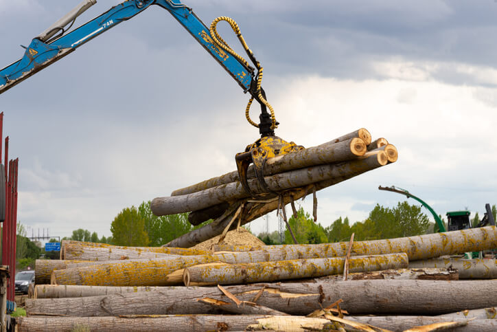 Crane Assisted Tree Removal Services: Your Ultimate Guide to Hiring the Best