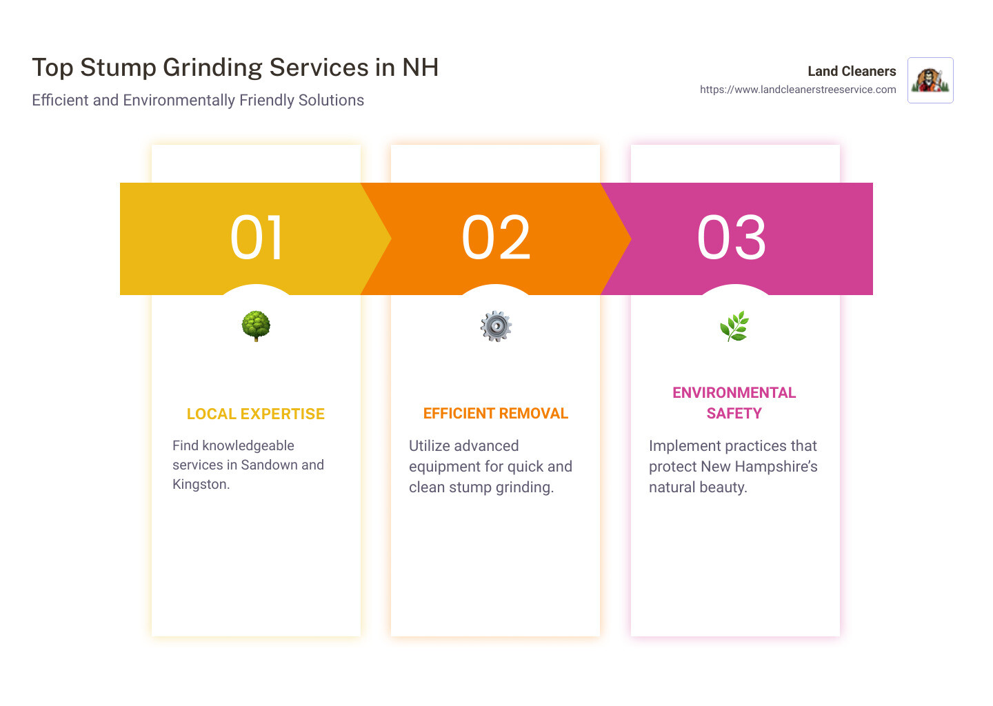 Stump Grinding Services Overview - stump grinding service near me infographic pillar-3-steps