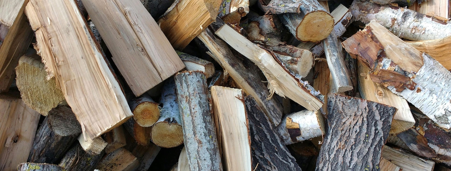 Land Cleaners Tree Removal