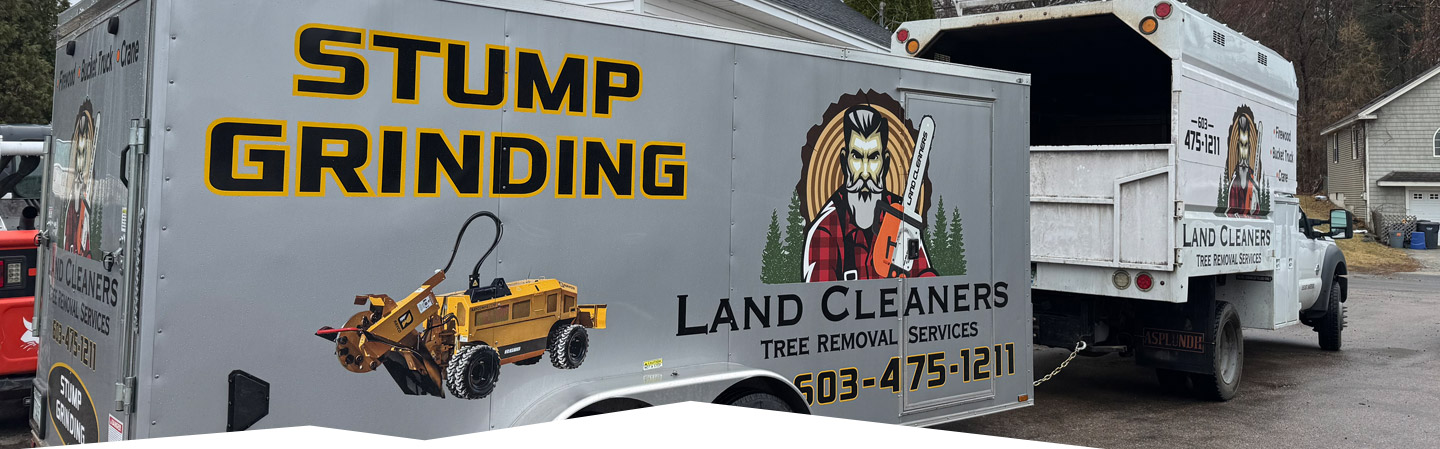 Land Cleaners Tree Removal