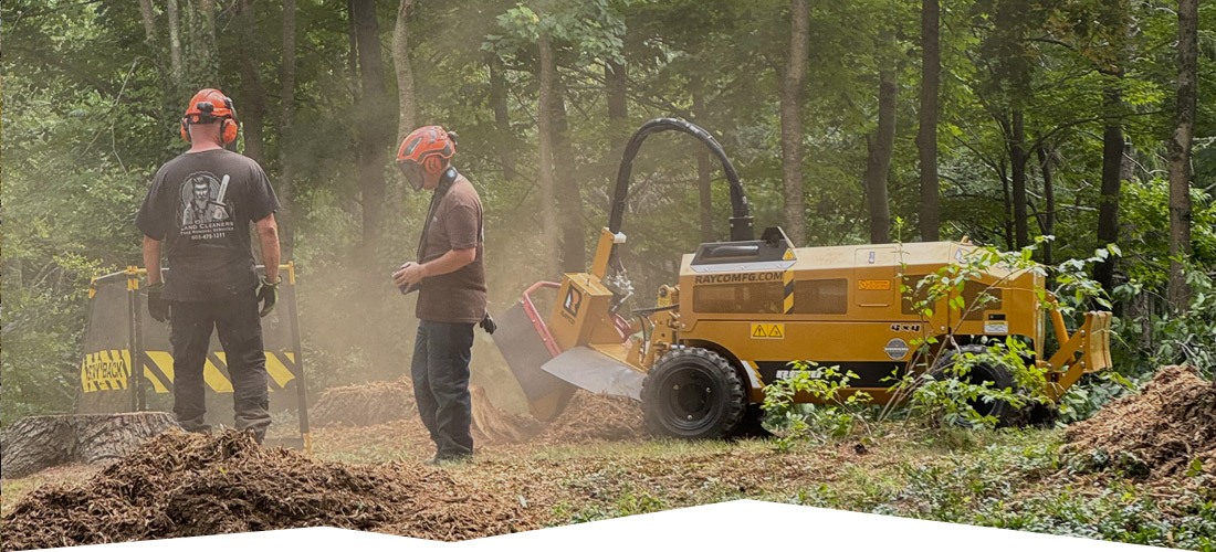 Land Cleaners Tree Removal