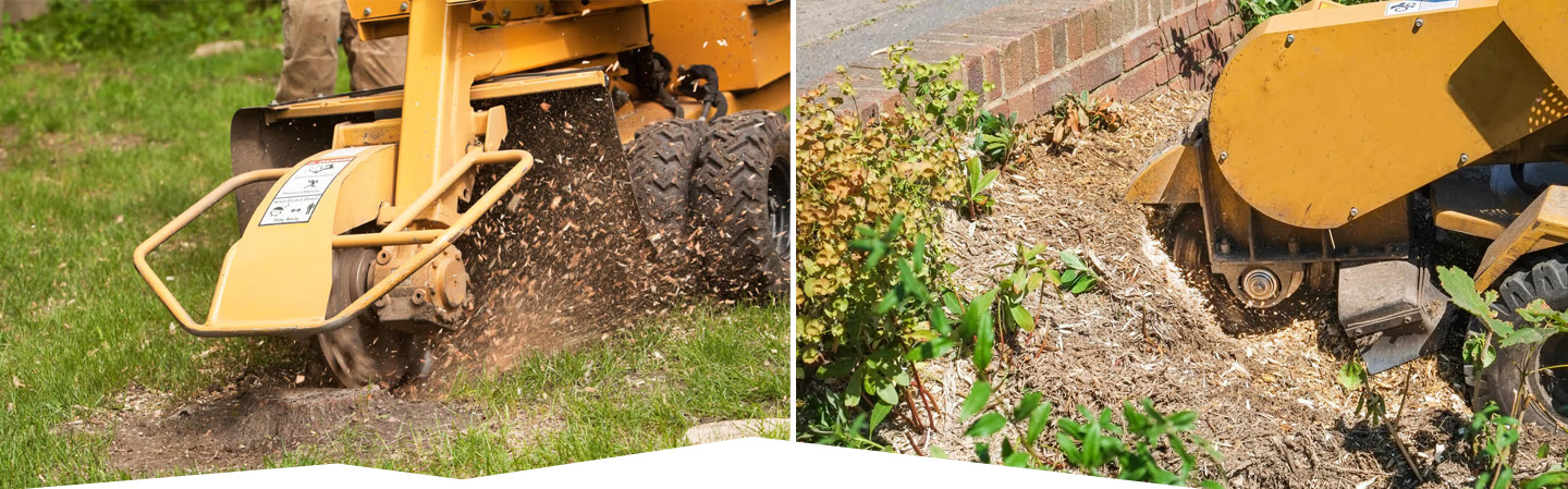 Land Cleaners Tree Removal