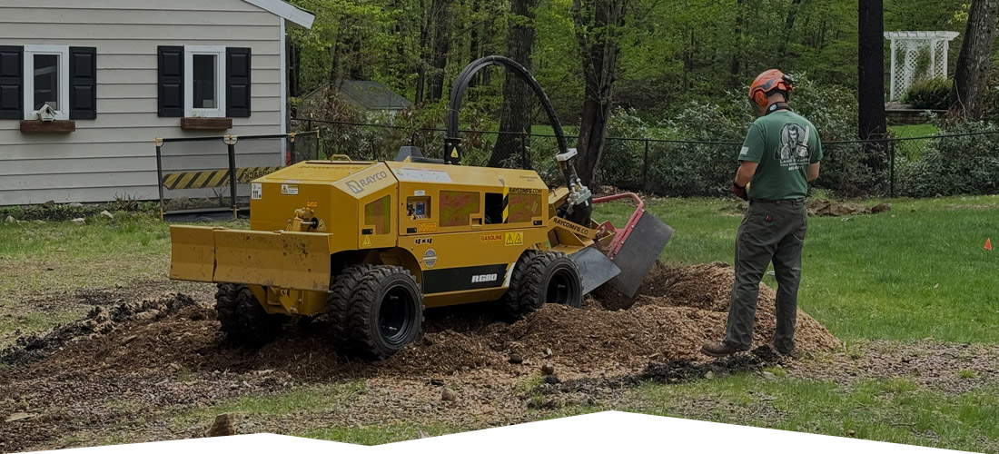 Land Cleaners Tree Removal