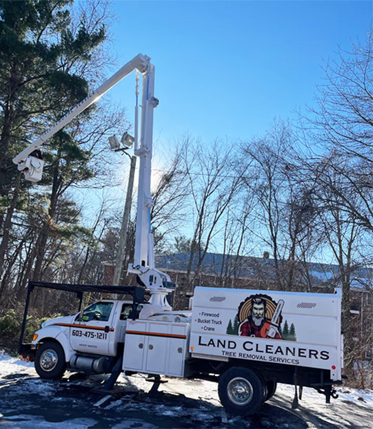 Land Cleaners Tree Removal
