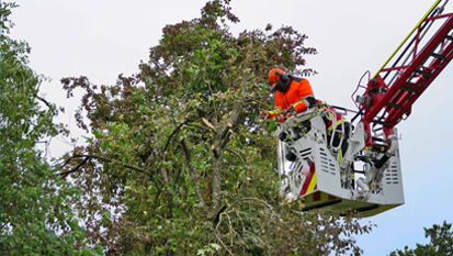 Bucket Truck Services NH