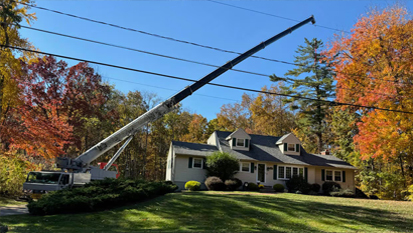Crane Assisted Tree Services NH
