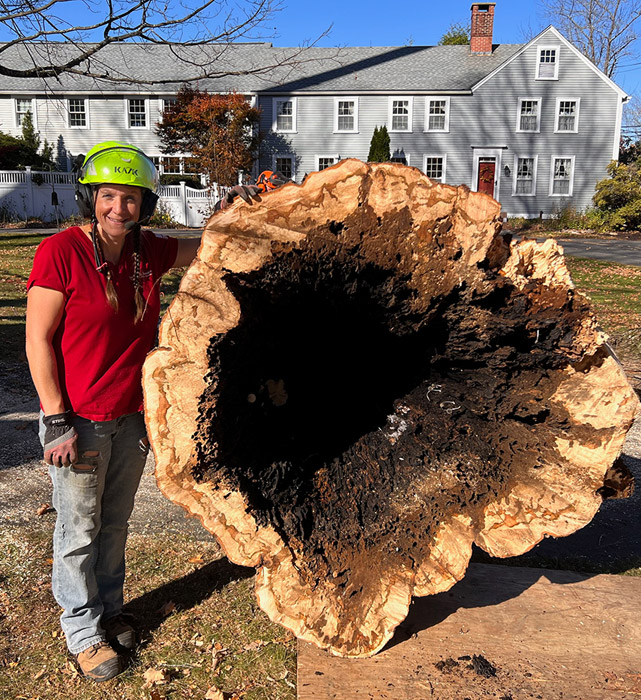 woman with dead tree