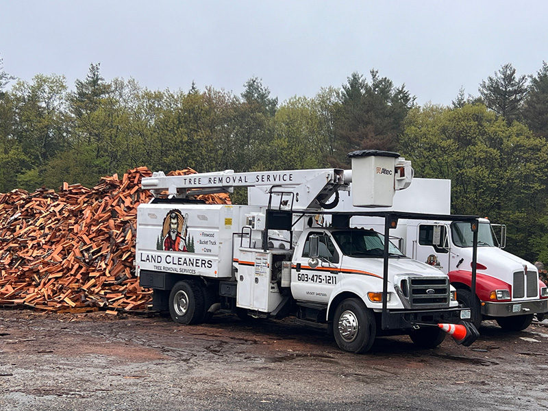 land cleaners firewood