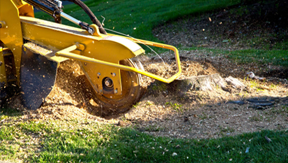 Stump Grinding NH
