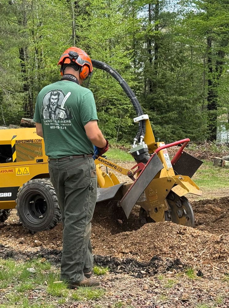 stump grinding